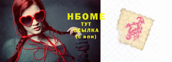 прущие грибы Алзамай