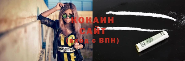 прущие грибы Алзамай