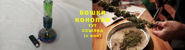 прущие грибы Алзамай