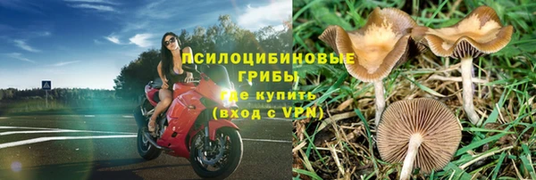 ALPHA PVP Магас
