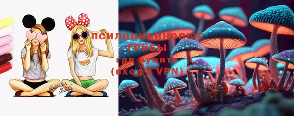 Альфа ПВП Магадан