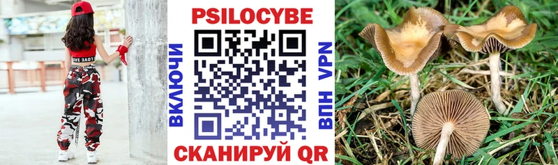 Галлюциногенные грибы Cubensis наркошоп Анадырь